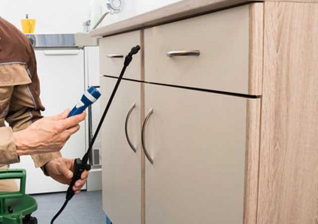 Do It Yourself Home Pest Control